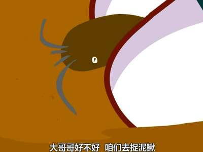 兔小贝儿歌-捉泥鳅(新)图片