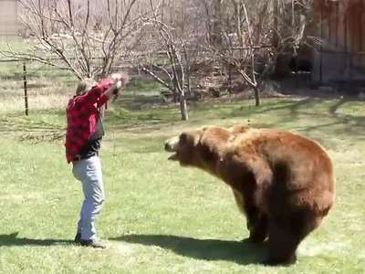 人&宗熊(嬉戏)_wrestling a grizzly bear in my garden