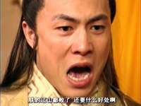 有情鸳鸯无情剑 13集