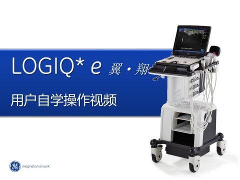 Logiq E 翼翔5.1.6 Hi-res PDI B