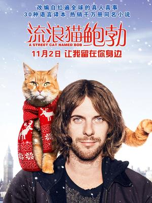 流浪猫鲍勃