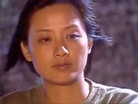 霹雳彩虹 11集
