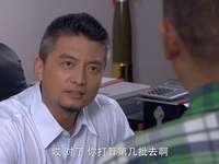 杨光的爱情故事 14集