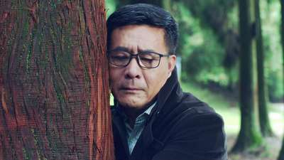 红月亮森林电影_手机乐视视频