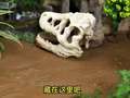 趣味定格动画鱼小鱼 31集