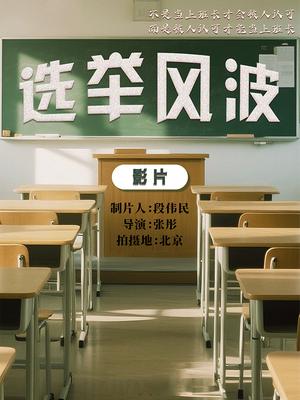 选举风波