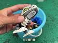 三哥超会玩之户外寻宝记 9集