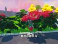 元梦之星爆笑剧场 3集