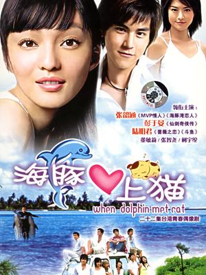 海豚爱上猫