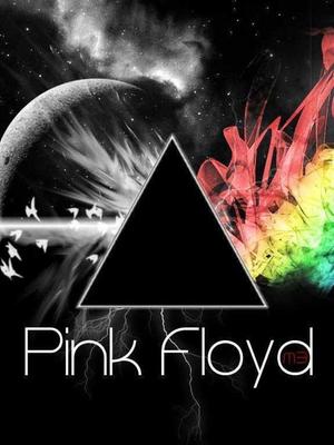 谁是平克 /the pink floyd story: which one is pink