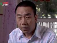 杨光的爱情故事 24集