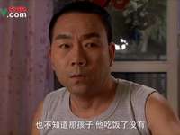 杨光的爱情故事 10集